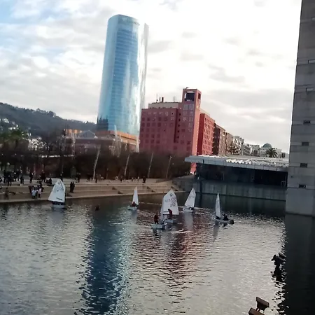 Coqueto Frente Al Guggenheim 公寓
